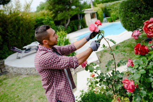 A man in a checkered shirt and gardening gloves is trimming a flowering pink rose bush in a well-maintained backyard garden. Behind him is a neatly edged lawn with lush green grass, bordered by various shrubs and trees, providing a natural enclosure. To the left, there is a paved patio area with a sun lounger, and further beyond, a modern swimming pool with clear blue water, surrounded by a stone or concrete deck. The garden features a mix of flowering plants, including red roses, and dense greenery, creating a vibrant and inviting outdoor space. The area appears to be overcast or in soft daylight, with even lighting and no harsh shadows, indicating mild weather conditions. The scene vividly illustrates routine gardening activities, such as hedge trimming and shrub maintenance, aligning with local gardening services in Seven Kings, Essex, supporting outdoor aesthetic and landscape care by companies like Hedge Trimming Seven Kings.