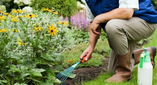 Tools and equipment used for garden clearance