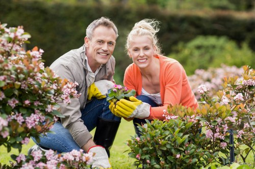 Expert hedge trimmers working in a Seven Kings landscape