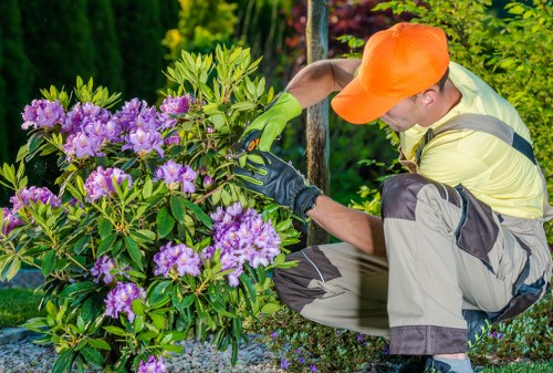 Seasonal hedge trimming services in Seven Kings